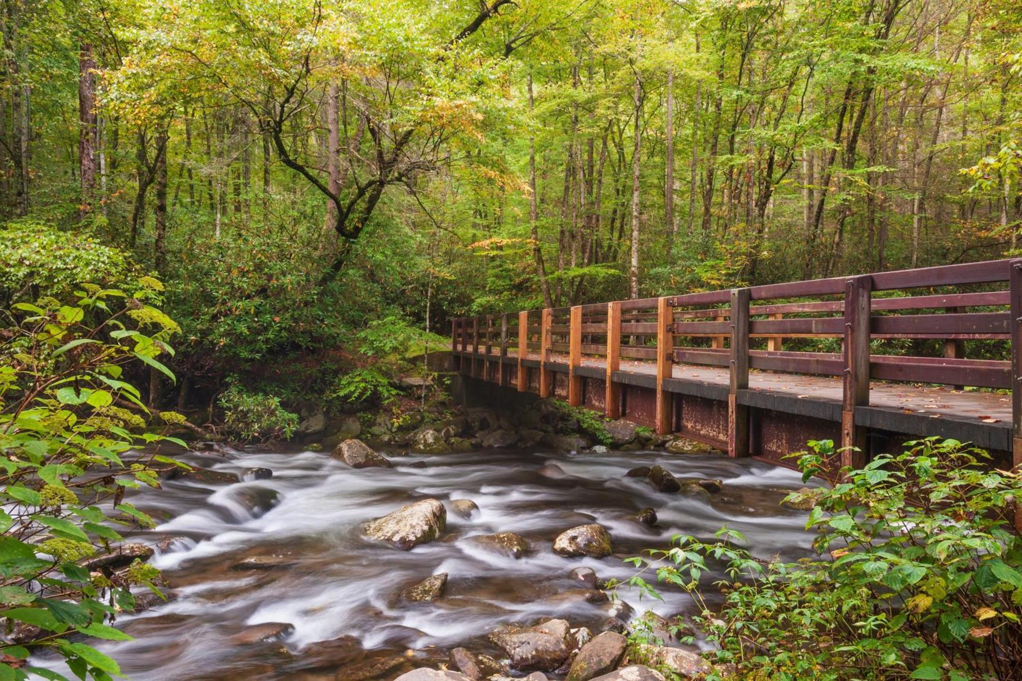 Mountain Eden, Hot Tub, Resort Pool, Wifi, 1089 Free Tickets Each Paid Day, Dollywood And More Gatlinburg Exterior photo